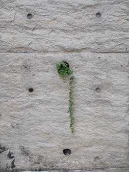 市场情绪骤然回暖，加密资产强劲反弹！地缘紧张短期缓和，油价回落带动风险偏好提升。 股票财经