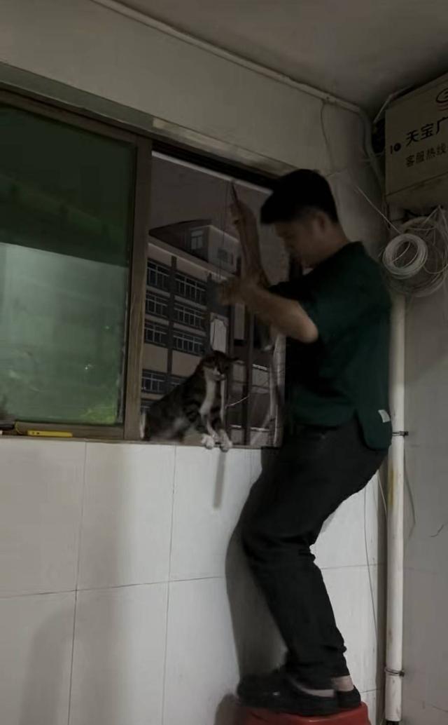  【行业深度】从电商跨界到寻宠服务：一位92年创业者的四年复盘与核心技术方法论 新闻 【行业深度】从电商跨界到寻宠服务：一位92年创业者的四年复盘与核心技术方法论 新闻 【行业深度】从电商跨界到寻宠服务：一位92年创业者的四年复盘与核心技术方法论 新闻 【行业深度】从电商跨界到寻宠服务：一位92年创业者的四年复盘与核心技术方法论 新闻 【行业深度】从电商跨界到寻宠服务：一位92年创业者的四年复盘与核心技术方法论 新闻 【行业深度】从电商跨界到寻宠服务：一位92年创业者的四年复盘与核心技术方法论 新闻 【行业深度】从电商跨界到寻宠服务：一位92年创业者的四年复盘与核心技术方法论 新闻