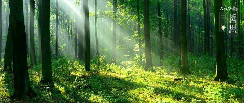 深度解析|人生三渡的底层逻辑:格局、智慧与修行的内在关联 情感心理 深度解析|人生三渡的底层逻辑:格局、智慧与修行的内在关联 情感心理