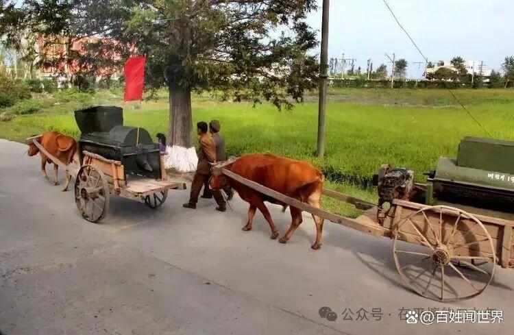  我在平壤住了五天，终于读懂了那句“江那边的灯光太亮” 文化旅游 我在平壤住了五天，终于读懂了那句“江那边的灯光太亮” 文化旅游