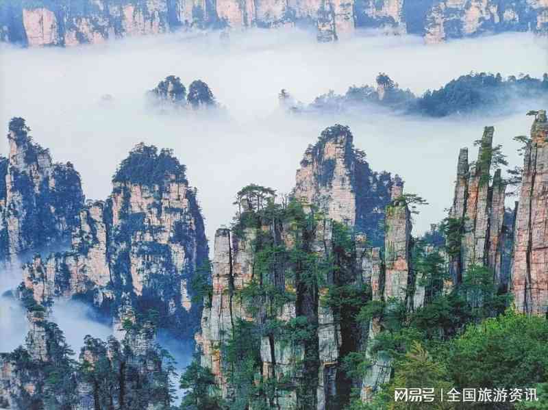  数据驱动下的张家界旅行社选择：资质合规、服务品质与口碑的真实解法 文化旅游 数据驱动下的张家界旅行社选择：资质合规、服务品质与口碑的真实解法 文化旅游