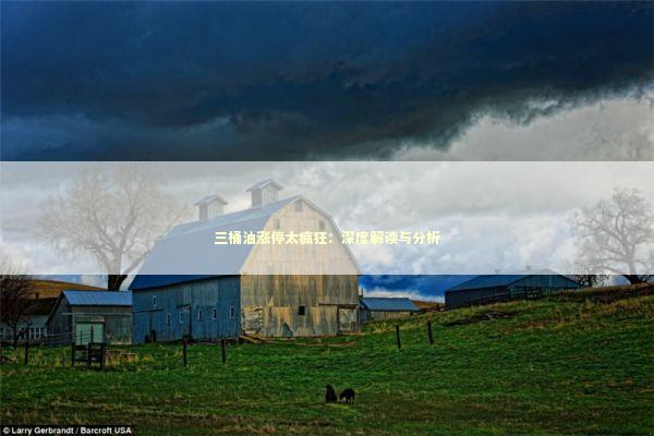 三桶油涨停太疯狂：深度解读与分析
