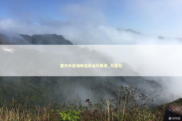 霍尔木兹海峡关闭油价暴涨_引用型