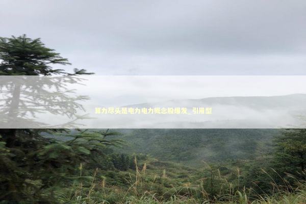算力尽头是电力电力概念股爆发_引用型