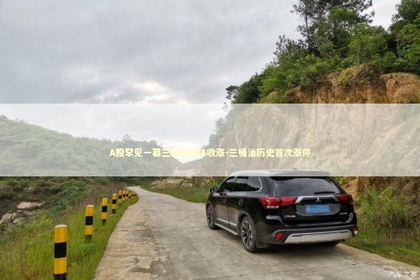 A股罕见一幕三桶油集体收涨-三桶油历史首次涨停
