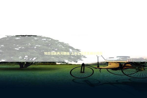 钨价狂飙两月翻倍 上市公司紧急提示风险