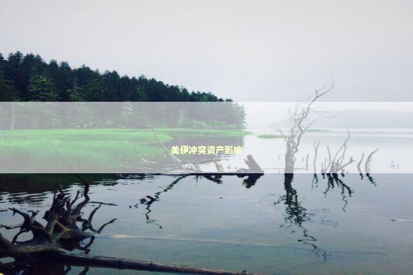 美伊冲突资产影响