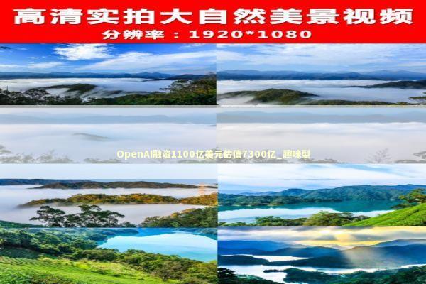 OpenAI融资1100亿美元估值7300亿_趣味型