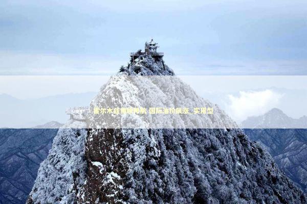 霍尔木兹海峡停航 国际油价飙涨_实用型