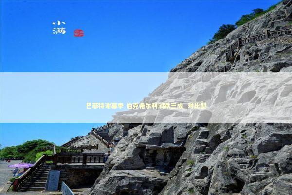 巴菲特谢幕季 伯克希尔利润跌三成_对比型