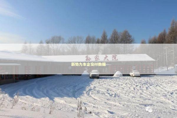 新势力车企交付数据