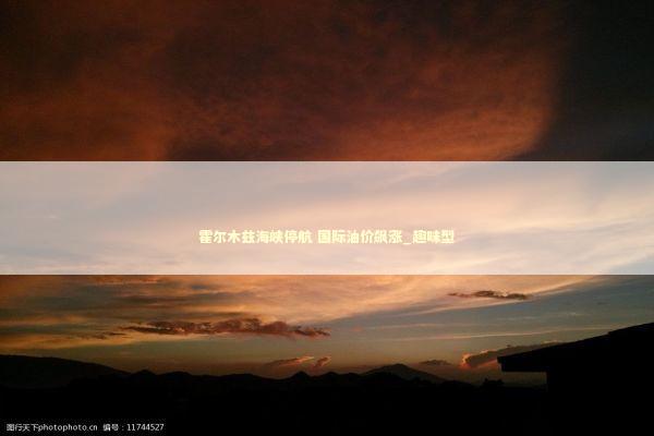 霍尔木兹海峡停航 国际油价飙涨_趣味型