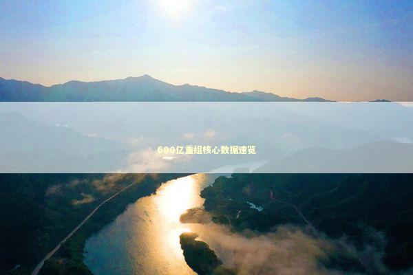 600亿重组核心数据速览