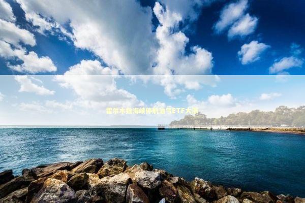 霍尔木兹海峡停航油气ETF大涨