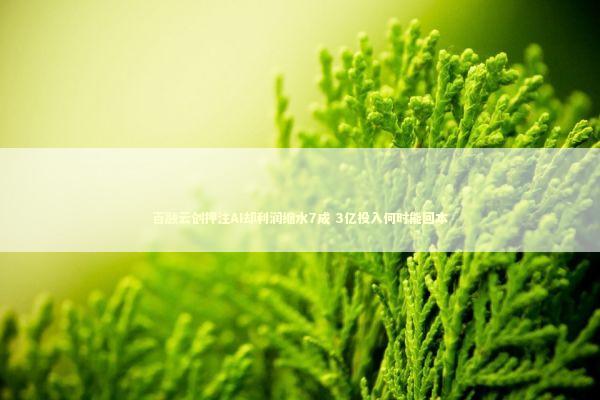 百融云创押注AI却利润缩水7成 3亿投入何时能回本