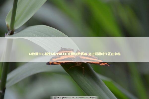 AI数据中心催生MicroLED光模块新赛道 光进铜退时代正在来临