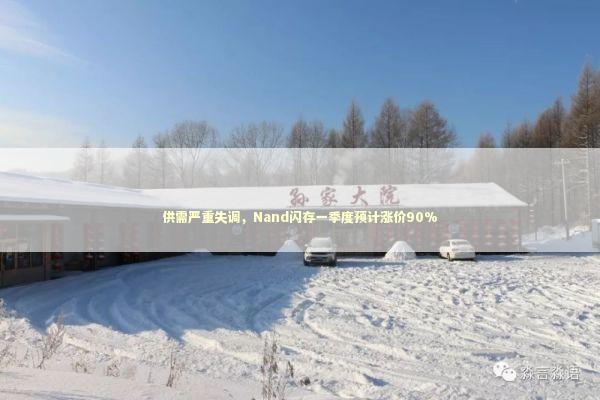 供需严重失调，Nand闪存一季度预计涨价90%