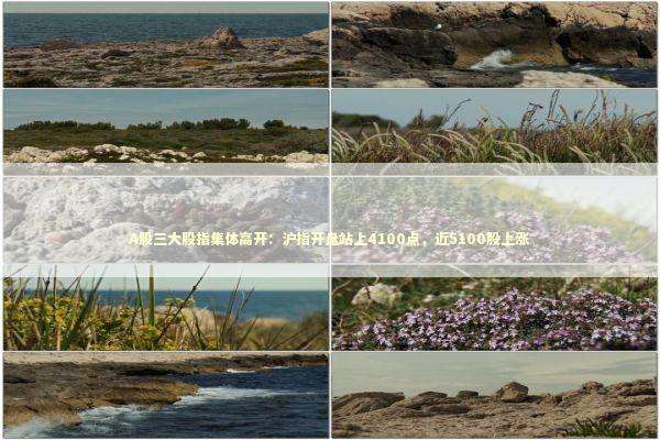 A股三大股指集体高开：沪指开盘站上4100点，近5100股上涨 新闻