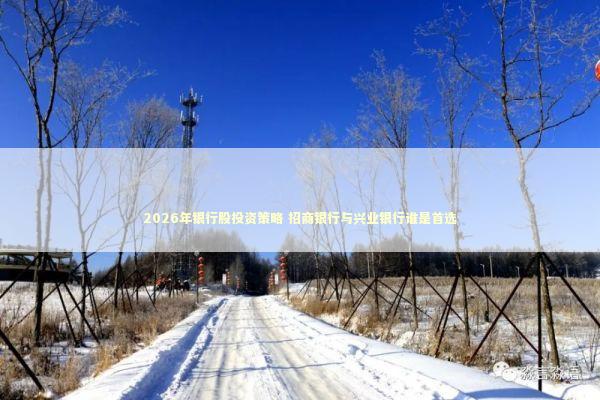 2026年银行股投资策略 招商银行与兴业银行谁是首选