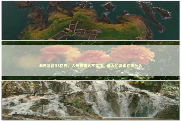 单日融资38亿元，人形机器人不差钱：涌入的资本在投什么