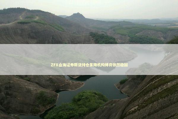 ZFX山海证券期货持仓虽降机构博弈依然稳固 ZFX山海证券期货持仓虽降机构博弈依然稳固 新闻