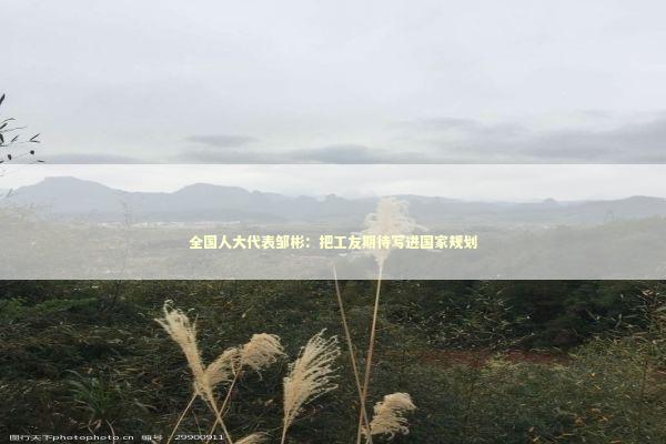 全国人大代表邹彬：把工友期待写进国家规划