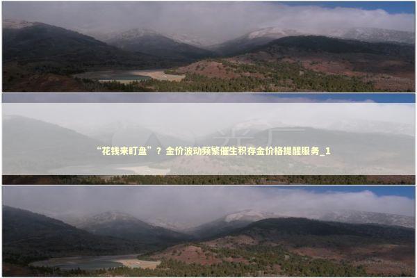 “花钱来盯盘”？金价波动频繁催生积存金价格提醒服务_1