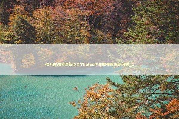 借力欧洲国防新资金Thales优先降债再谋新收购_1