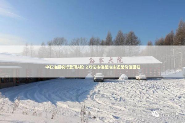 中石油超农行登顶A股 2万亿市值是泡沫还是价值回归