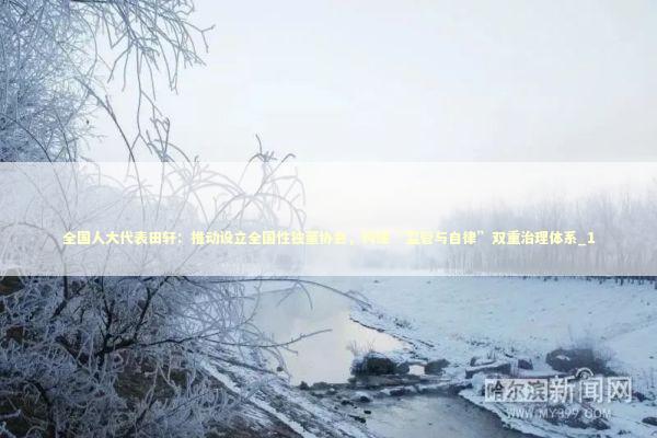 全国人大代表田轩：推动设立全国性独董协会，构建“监管与自律”双重治理体系_1