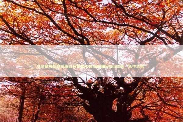 交易商与船商纷纷避开霍尔木兹海峡国际海运遭遇“急性危机” 交易商与船商纷纷避开霍尔木兹海峡国际海运遭遇“急性危机” 新闻
