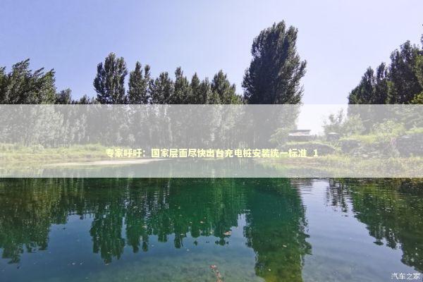 专家呼吁：国家层面尽快出台充电桩安装统一标准_1