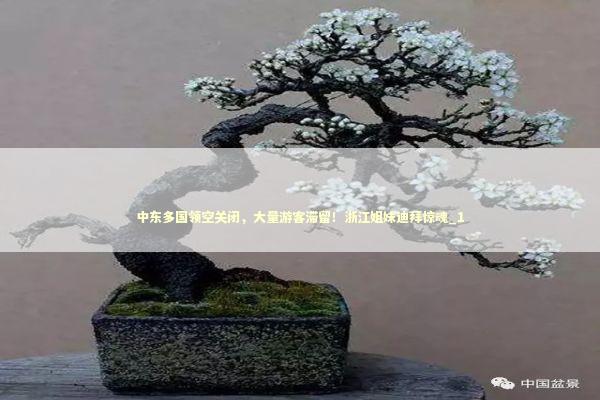 中东多国领空关闭，大量游客滞留！浙江姐妹迪拜惊魂_1