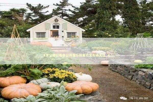 4家公司公布非公开发行预案引发市场关注_4 4家公司公布非公开发行预案引发市场关注_4 新闻