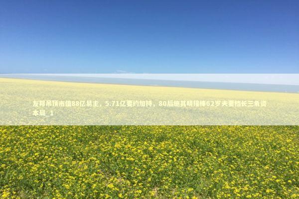 友邦吊顶市值88亿易主，5.71亿要约加持，80后施其明接棒62岁夫妻档长三角资本局_1