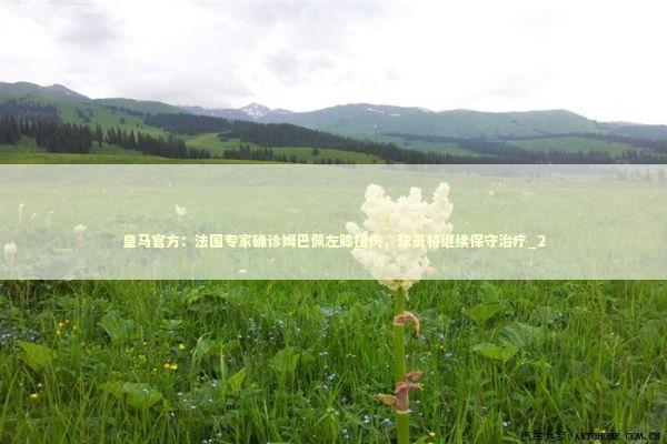 皇马官方：法国专家确诊姆巴佩左膝扭伤，球员将继续保守治疗_2
