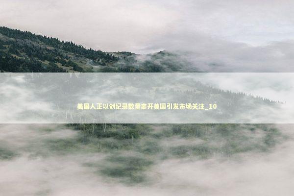 美国人正以创纪录数量离开美国引发市场关注_10