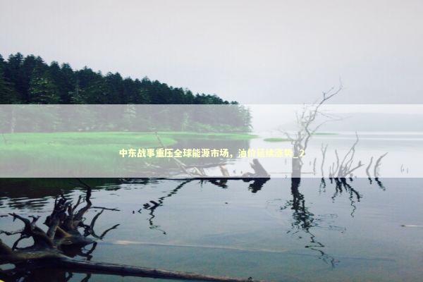 中东战事重压全球能源市场，油价延续涨势_2