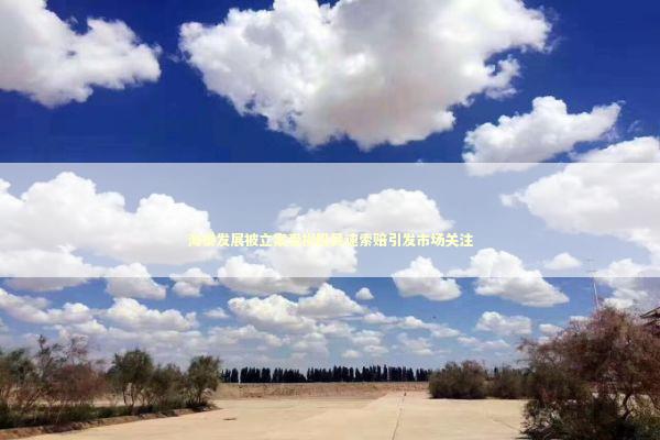 海泰发展被立案受损股民速索赔引发市场关注 新闻