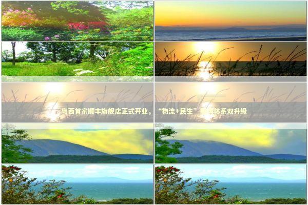 粤西首家顺丰旗舰店正式开业，“物流+民生”服务体系双升级