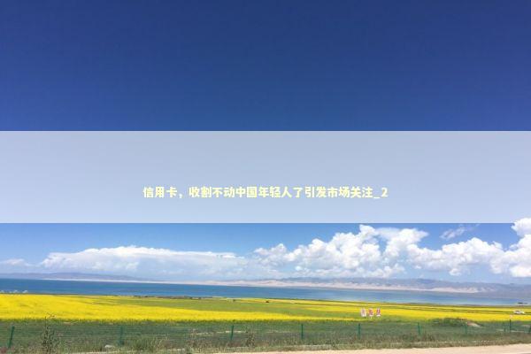 信用卡，收割不动中国年轻人了引发市场关注_2