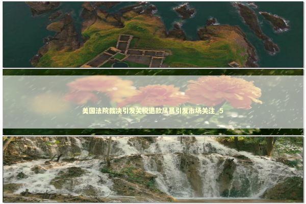 美国法院裁决引发关税退款风暴引发市场关注_5