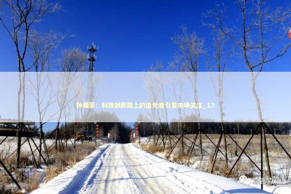 孙雷蒙:科技创新路上的追光者引发市场关注_13 孙雷蒙:科技创新路上的追光者引发市场关注_13 新闻