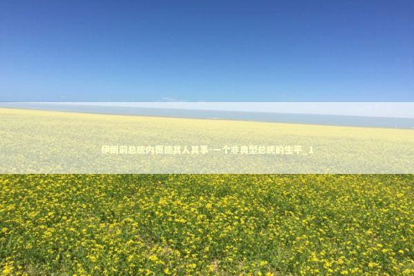 伊朗前总统内贾德其人其事-一个非典型总统的生平_1 伊朗前总统内贾德其人其事-一个非典型总统的生平_1 新闻