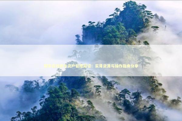 探索高效数字资产管理路径：实用资源与操作指南分享