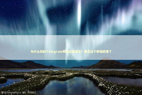 为什么你的Telegram界面还是英文？看完这个教程就懂了 IT技术